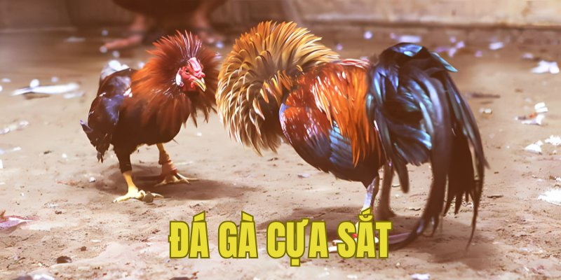 Banner www.beautygarden.vn