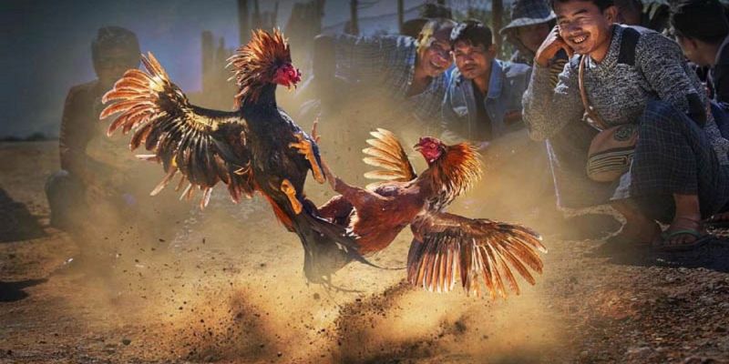 Banner www.beautygarden.vn